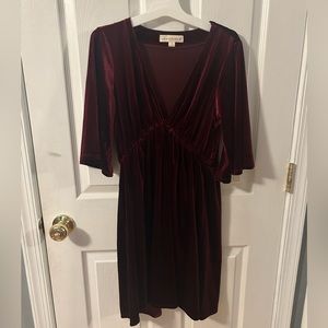 Scarlett Velvet Mini Dress